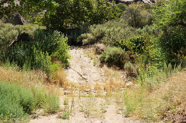 ARM.Rocks,SOS61