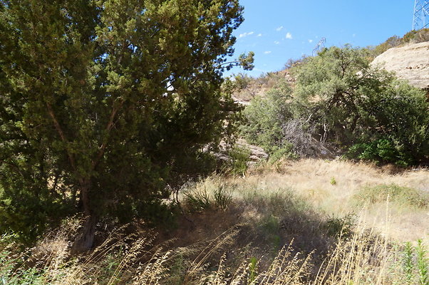 ARM.Rocks,SOS22