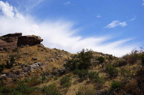 ARM.Rocks,SOS40