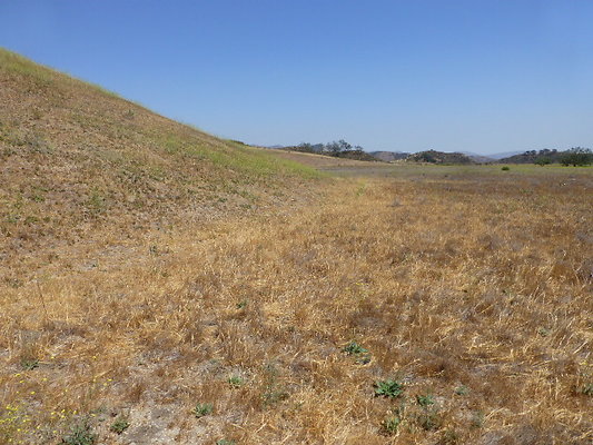 P1190869