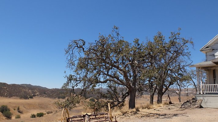 B.Sky.Ranch.Hse.06