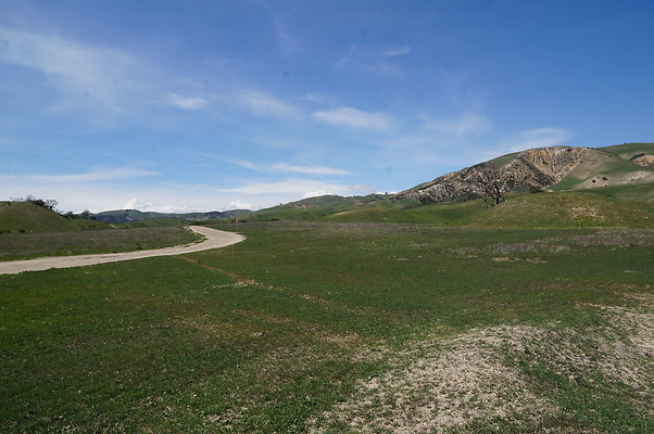 DSC01229