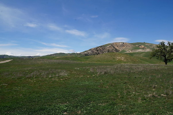DSC01237