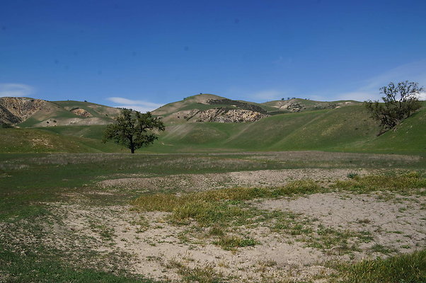DSC01230