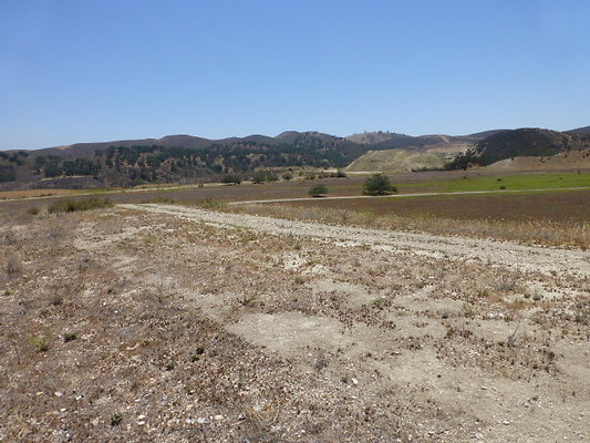 P1190769