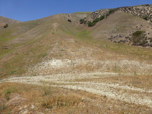 P1190795
