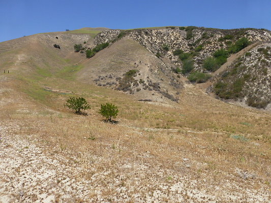 P1190789