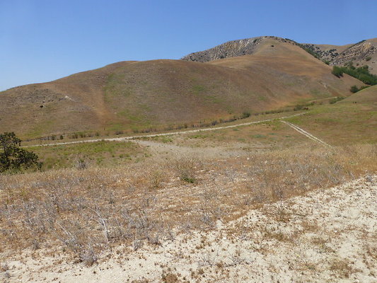 P1190787