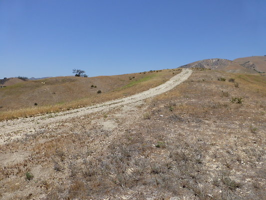 P1190771