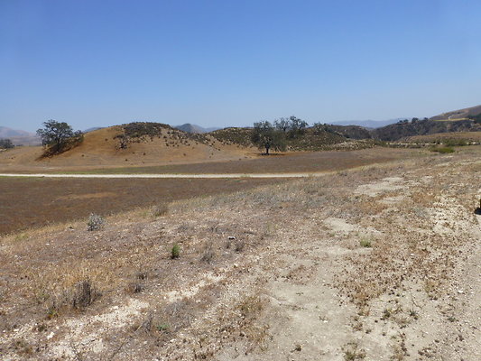 P1190766