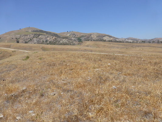 P1190778