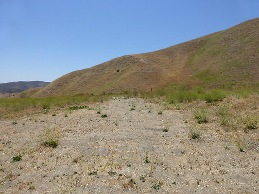 P1190822