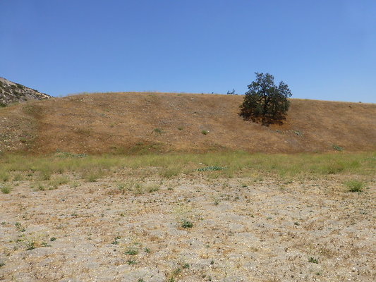 P1190820