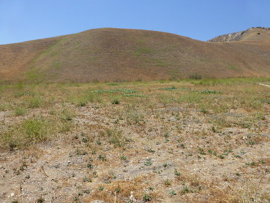 P1190809