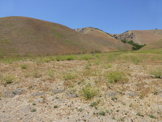 P1190817