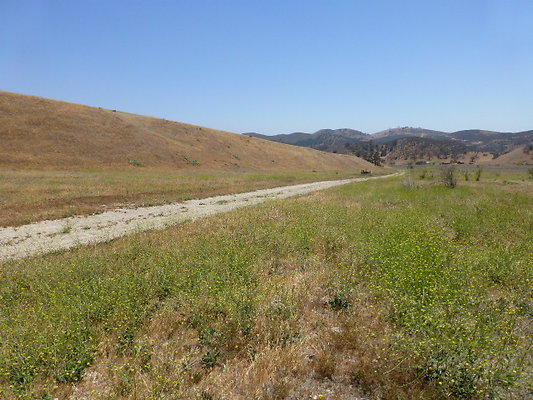 P1190829