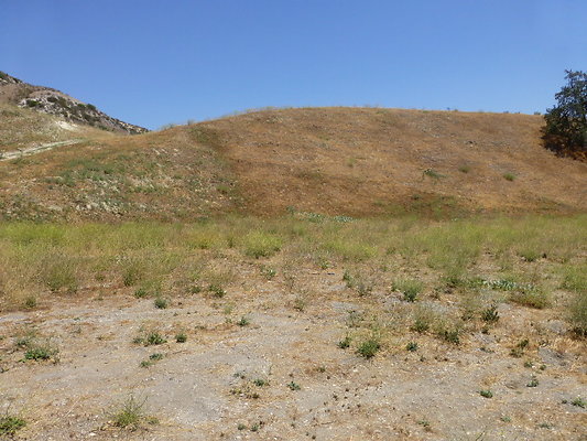 P1190814