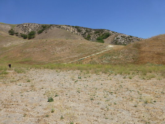 P1190819