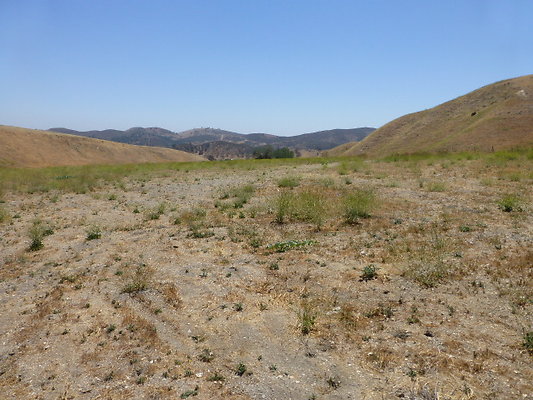 P1190808