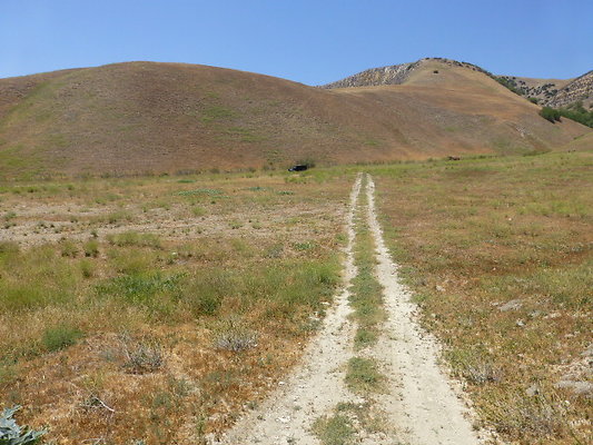 P1190805