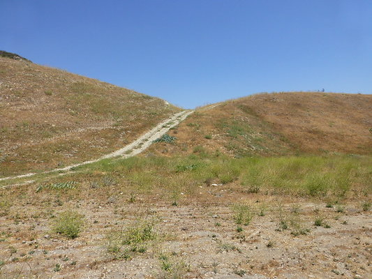 P1190812