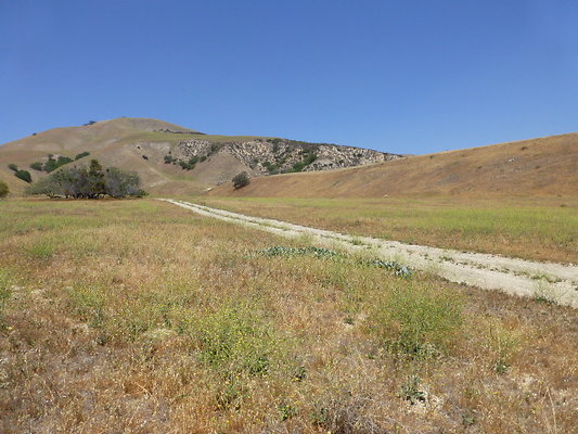 P1190827