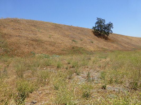P1190816