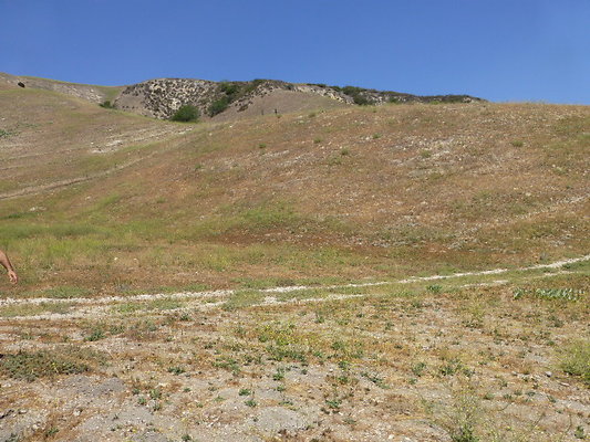 P1190811