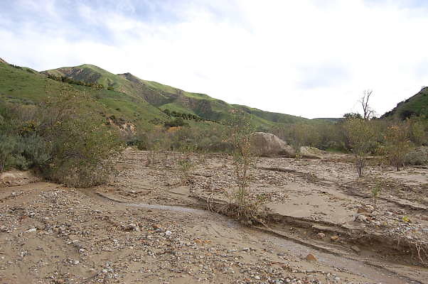 DSC 0181