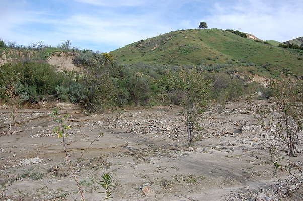 DSC 0174