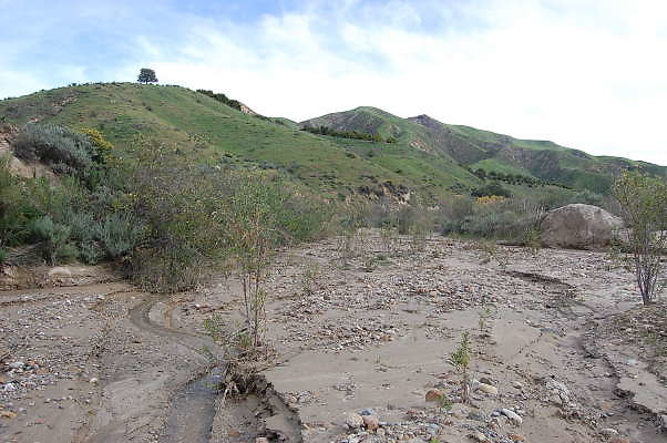 DSC 0187