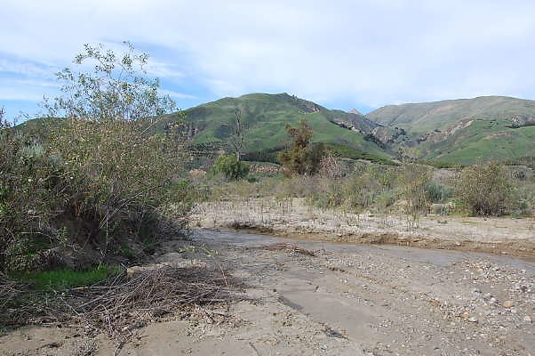 DSC 0169