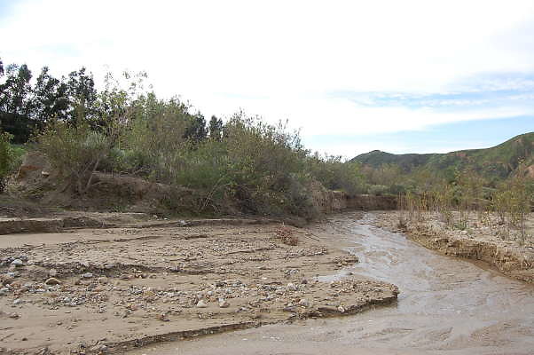 DSC 0184