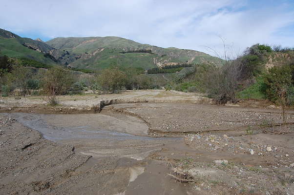 DSC 0173