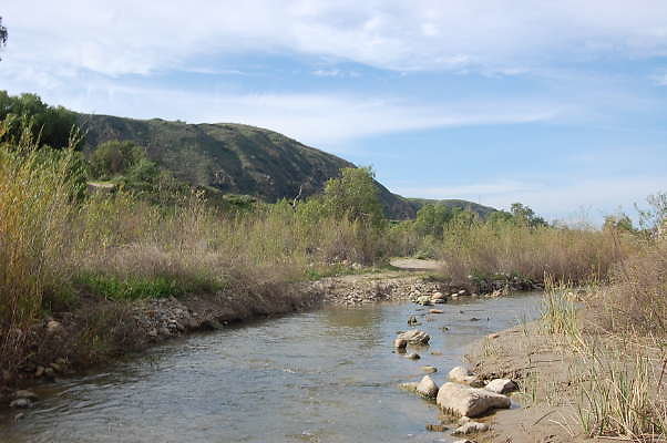 DSC 0238