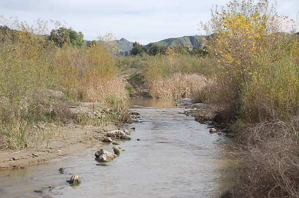DSC 0243