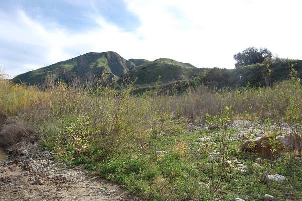 DSC 0248