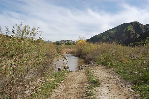 DSC 0249