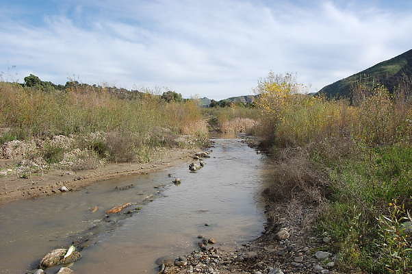 DSC 0242