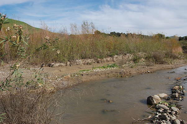 DSC 0246