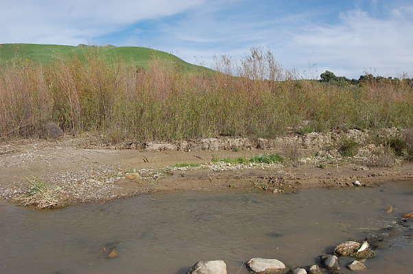 DSC 0241