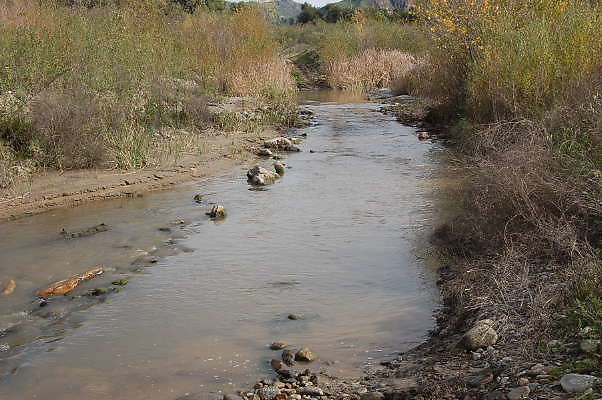 DSC 0244