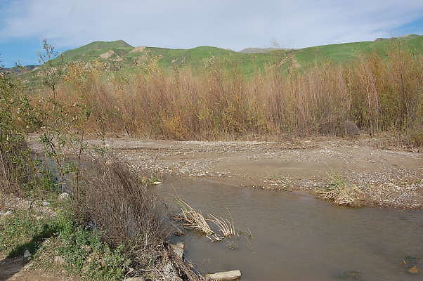 DSC 0240
