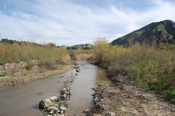 DSC 0247