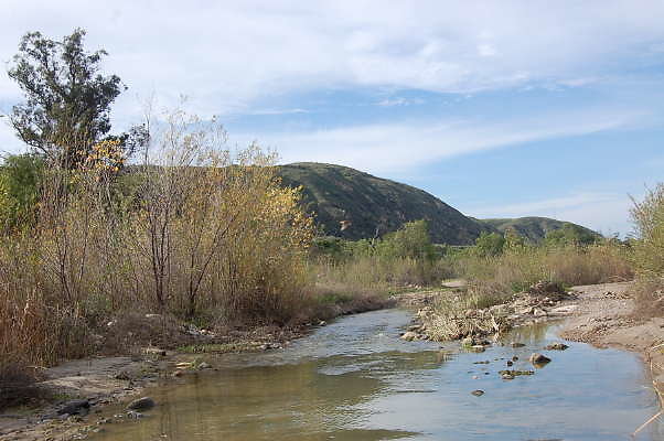 DSC 0236