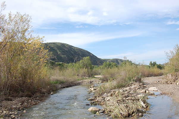 DSC 0237