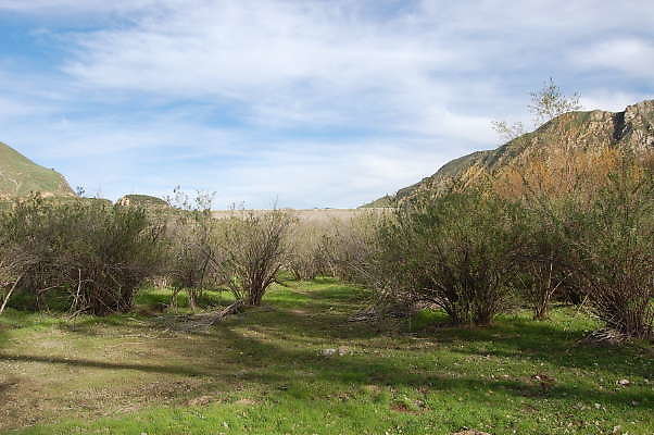 DSC 0069
