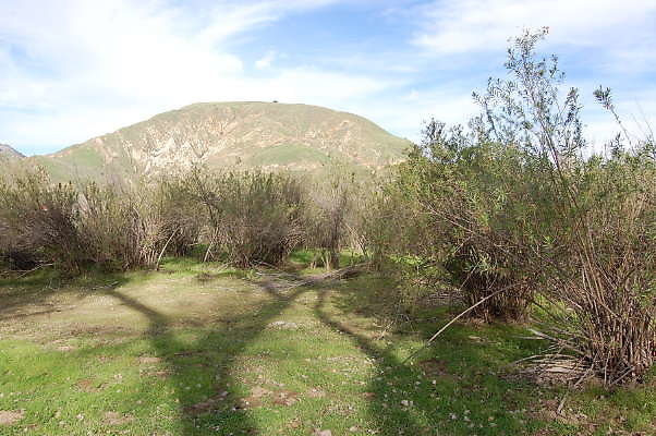 DSC 0066