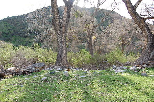DSC 0063