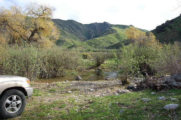 DSC 0050